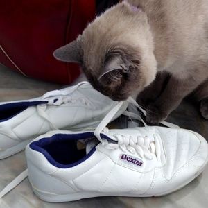 Bowling shoes and Bag